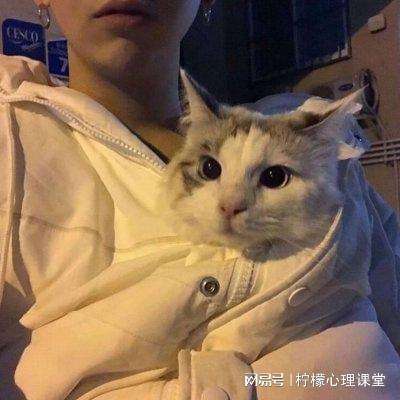 挂出个三国九游版下载